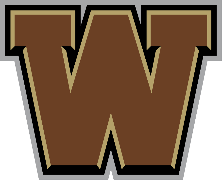Western Michigan Broncos 2016-2021 Secondary Logo t shirts iron on transfers